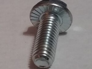 10MMX25FLNGD BOLT