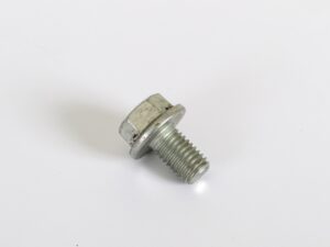 E80866 TURTLE BOLT