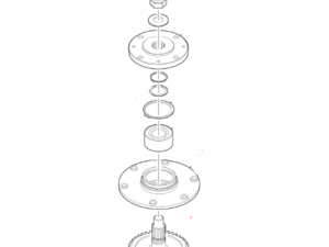 U-700719597 GEAR ASSEMBLY